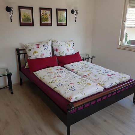 Ferienhaeusle Vom Hof Chirphendorf Villa Steinheim am Albuch Exteriör bild